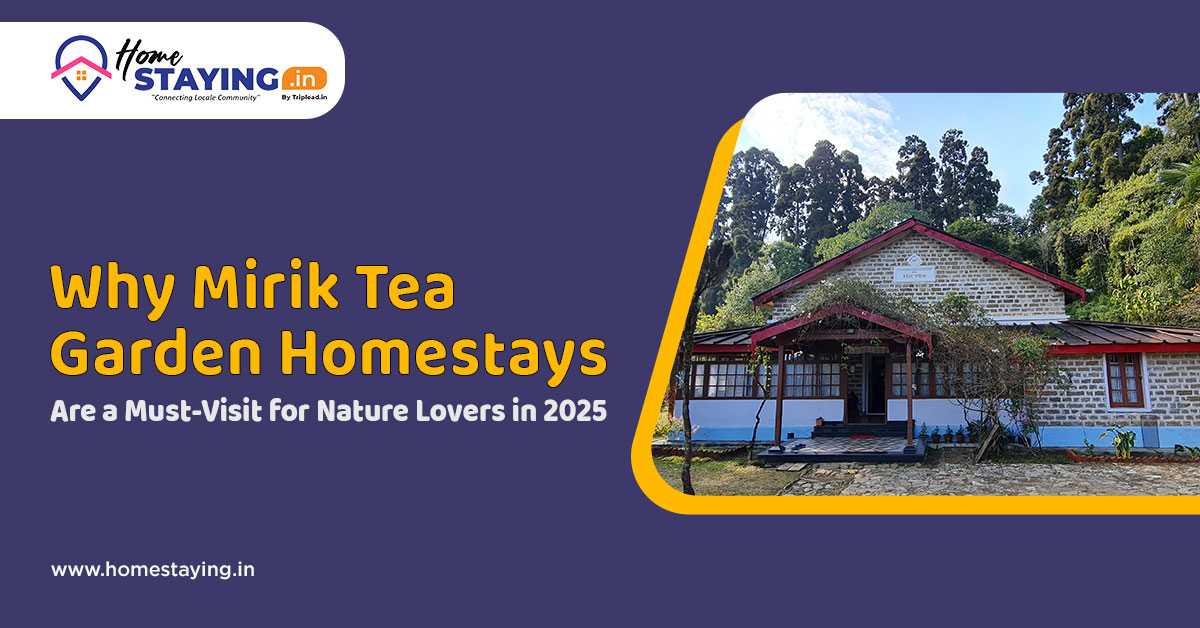 Why Mirik Tea Garden Homestays Are a Must-Visit for Nature Lovers in 2025