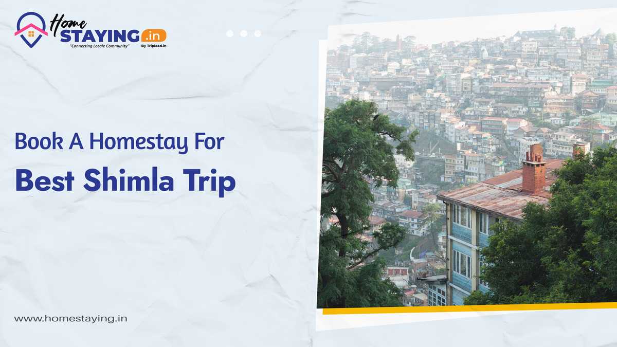 best homestay in Shimla