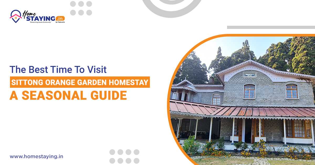 The Best Time to Visit Sittong Orange Garden Homestay: A Seasonal Guide