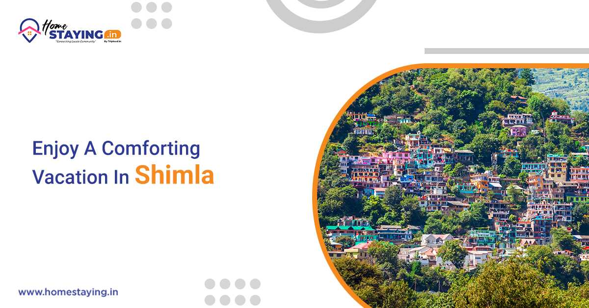 best homestay in Shimla