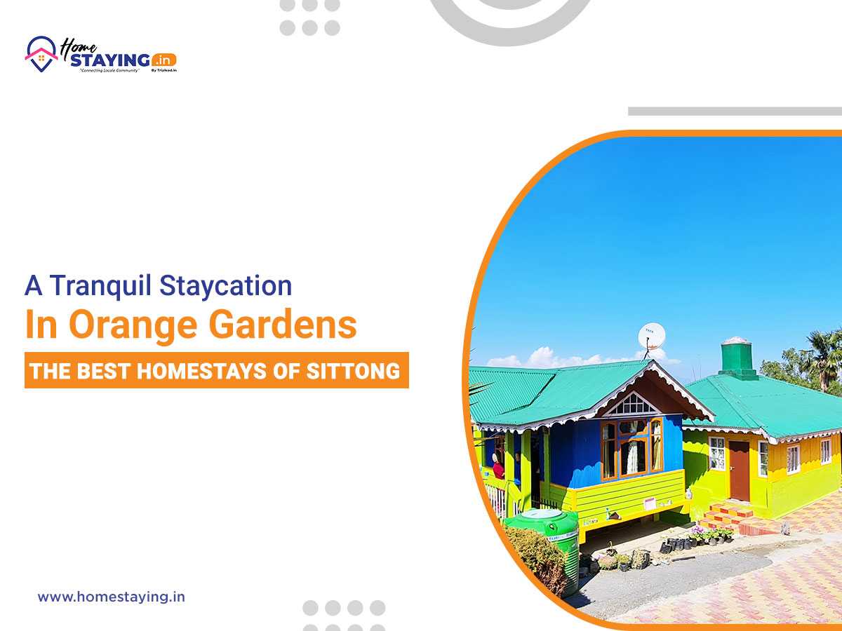 A Tranquil Staycation In Orange Gardens- The Best Homestays Of Sittong