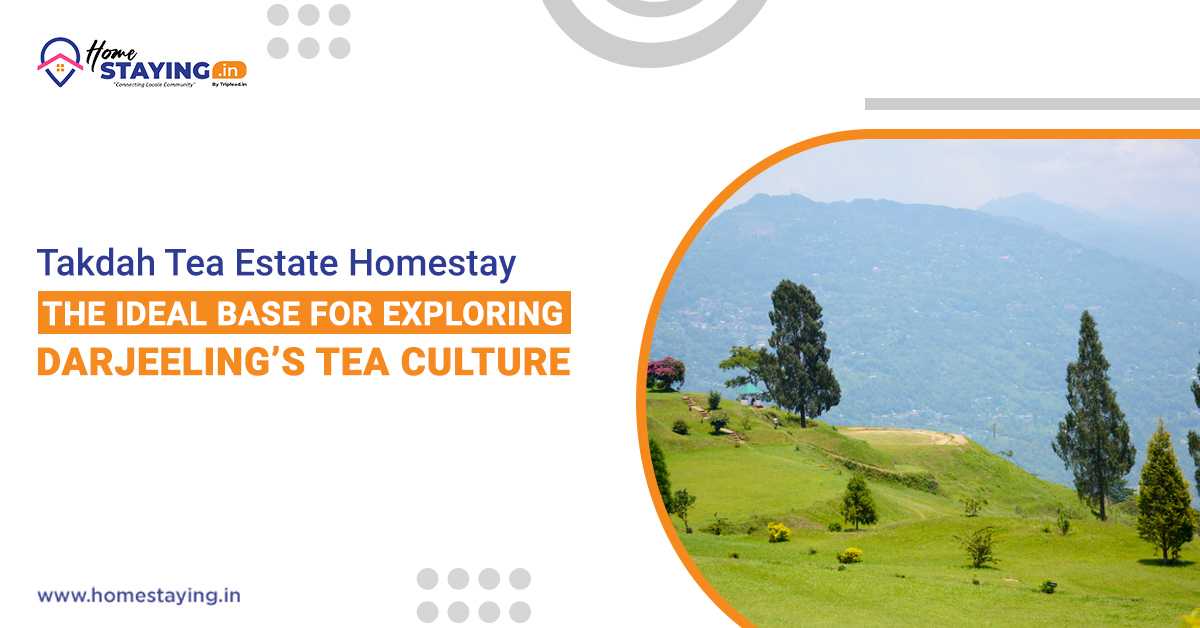 Takdah Tea Estate Homestay: The Ideal Base for Exploring Darjeeling’s Tea Culture
