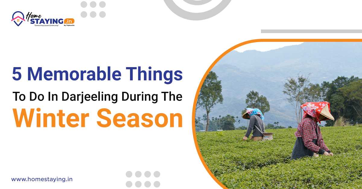 5 Memorable Things To Do In Darjeeling During The Winter Season