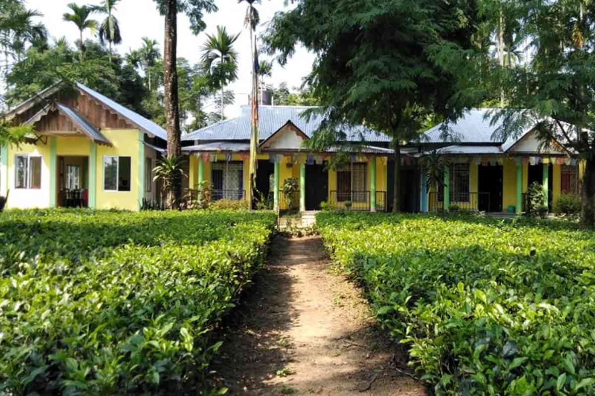 Tea Garden Homestay - Lataguri