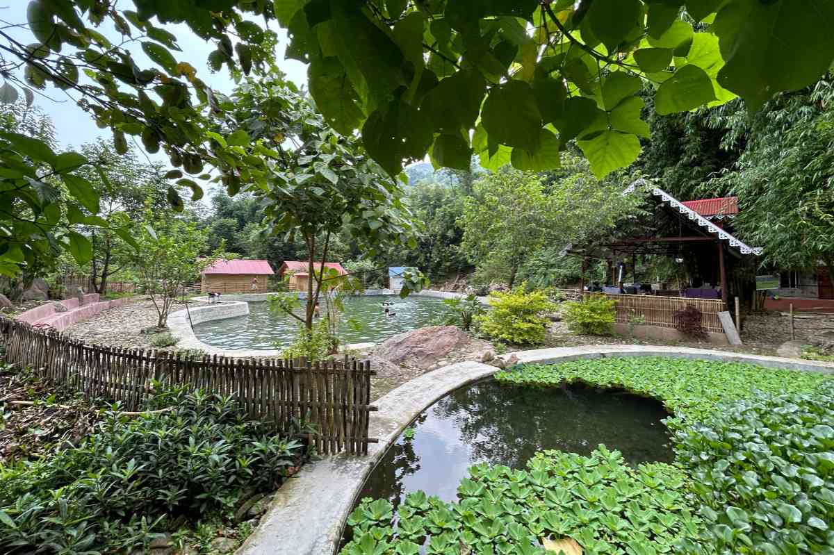 Bagar Farmstay - Sonada (Darjeeling)