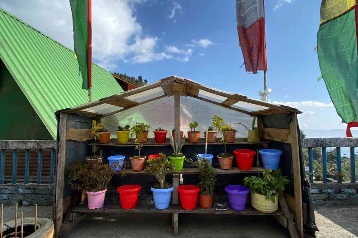 Kunjula Homestay - Poobong