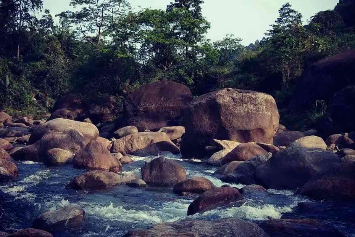 The Rocky Island Homestay