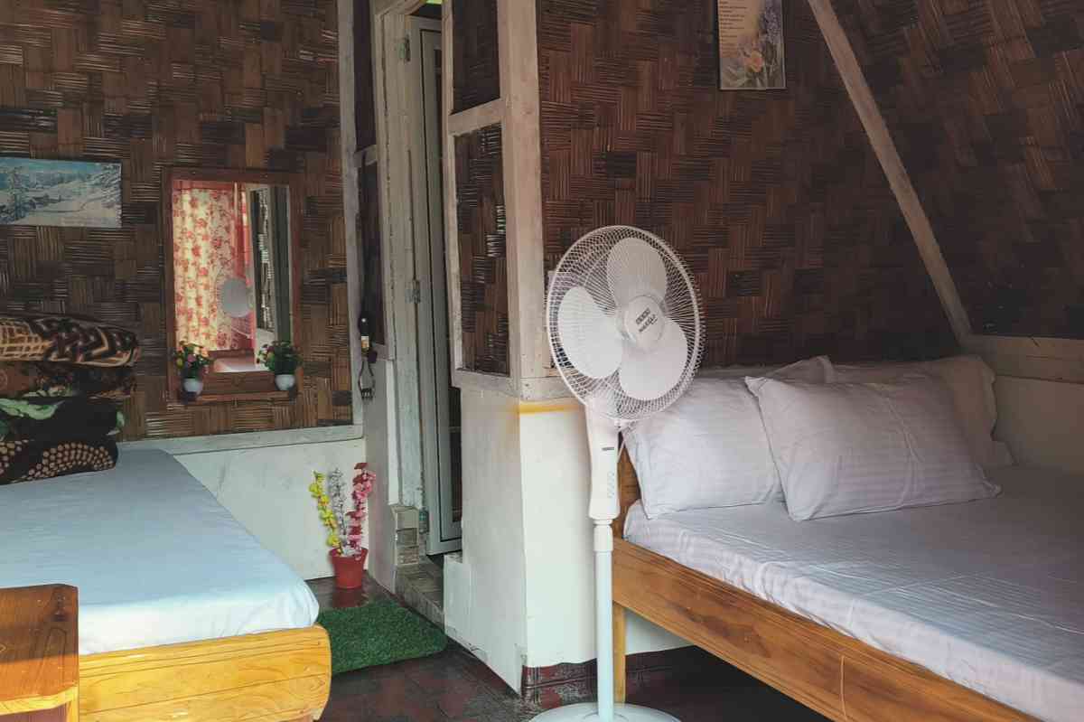 Alpha Farmstay