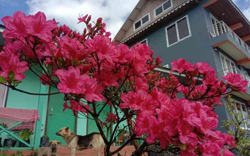 Laliguras Homestay - Okhrey (West Sikkim)