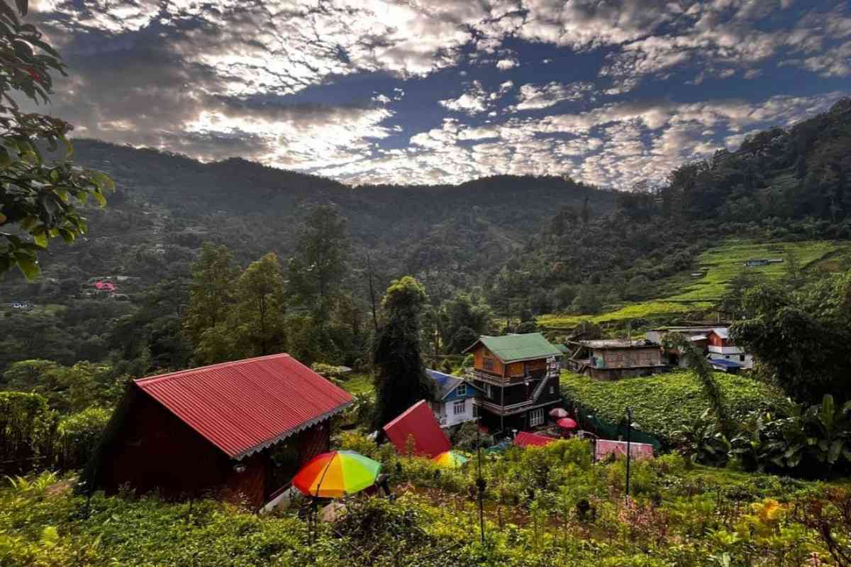 Alpha Farmstay