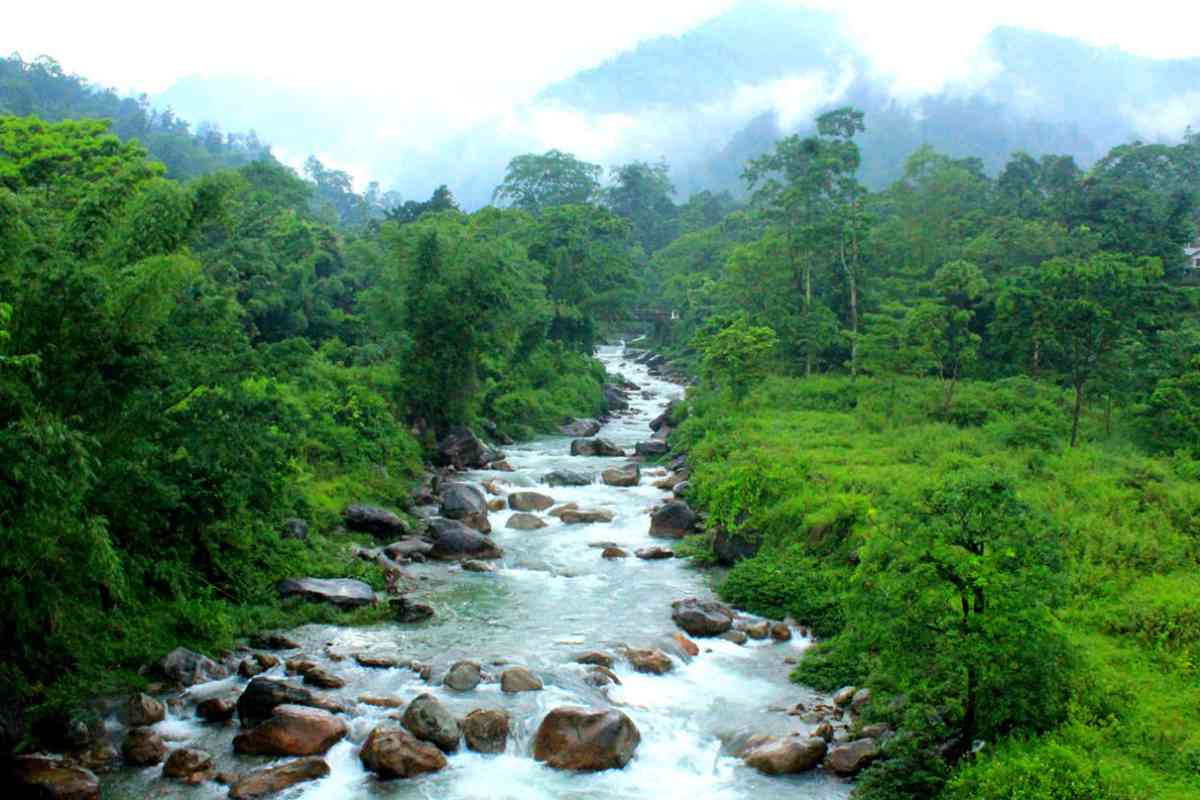 Ritika Homestay