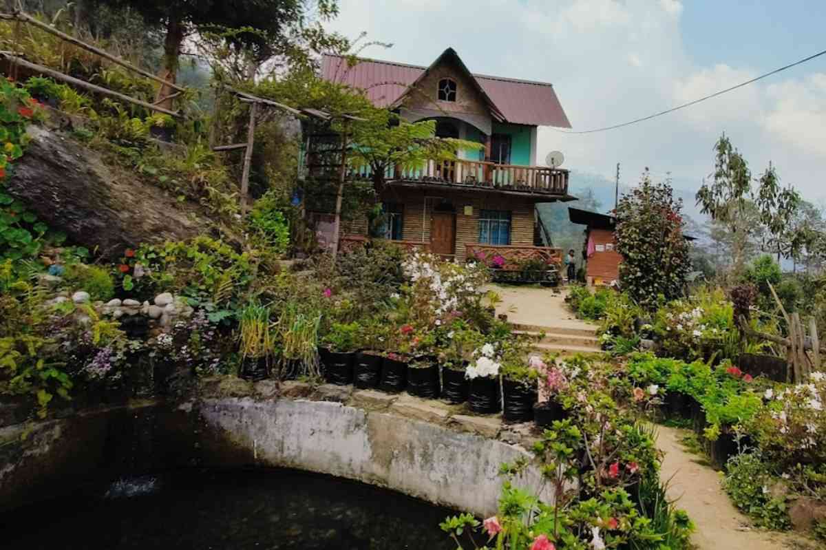 Orcard Homestay
