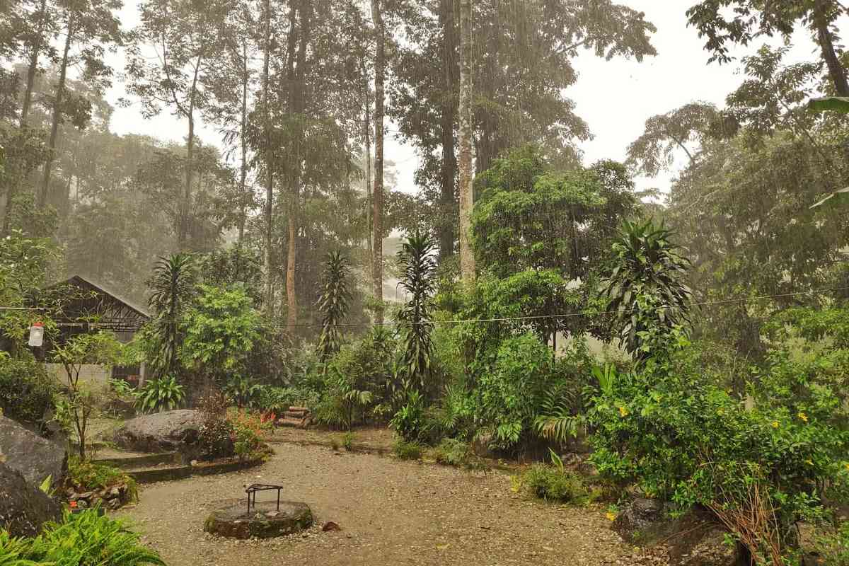The Rocky Island Homestay