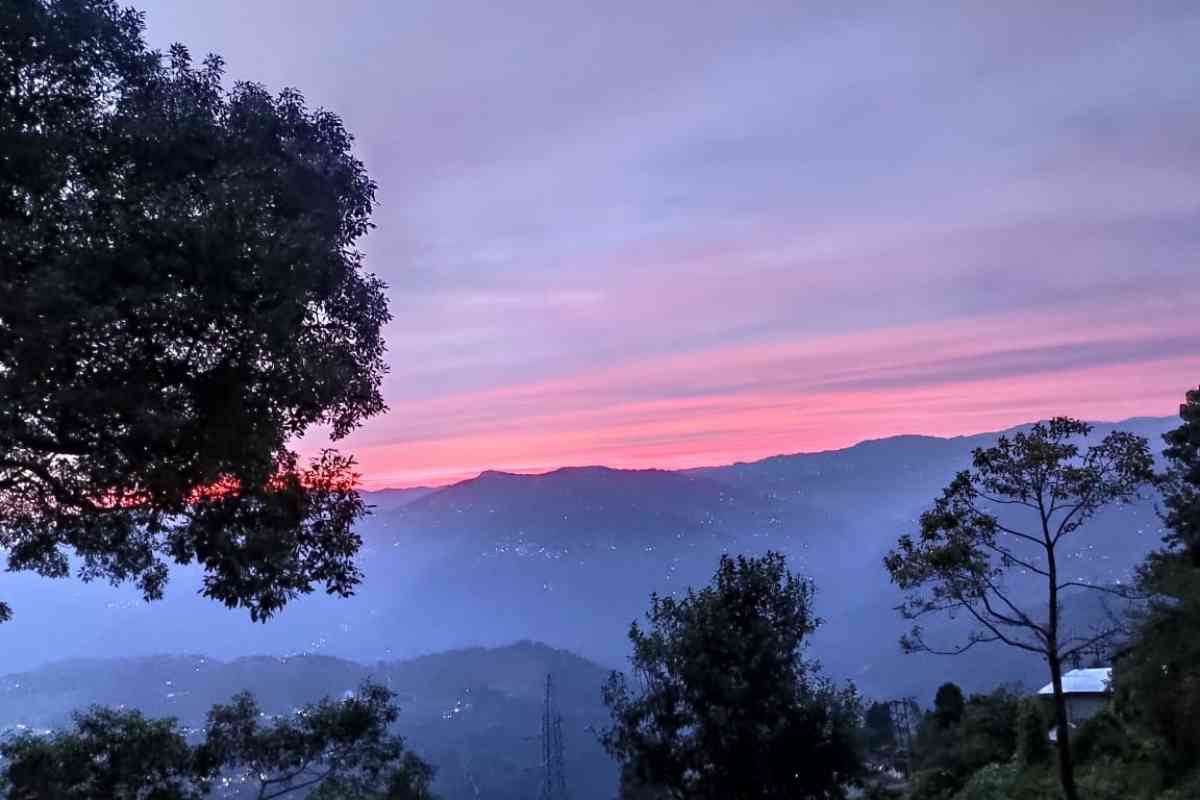 Singell Homestay