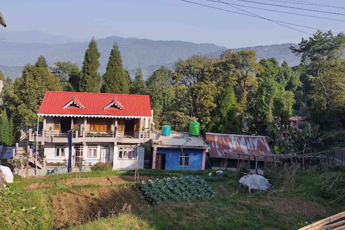 Jasmine Homestay