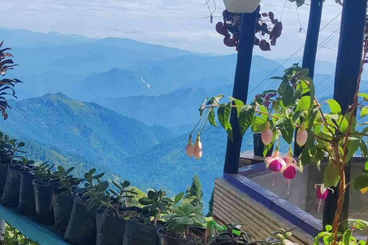 4 Sister's Homestay