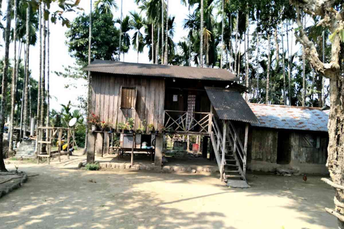 Chapramari Homestay