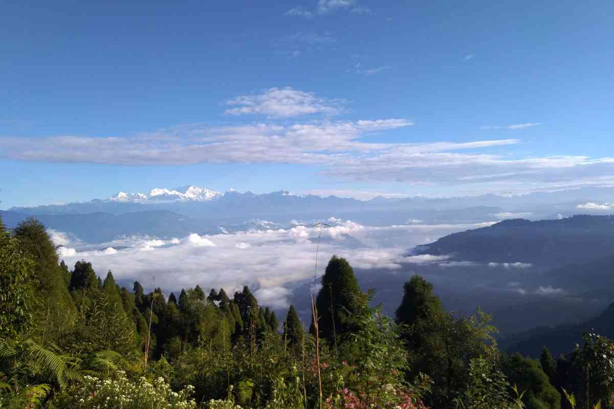 Peak XV Homestay