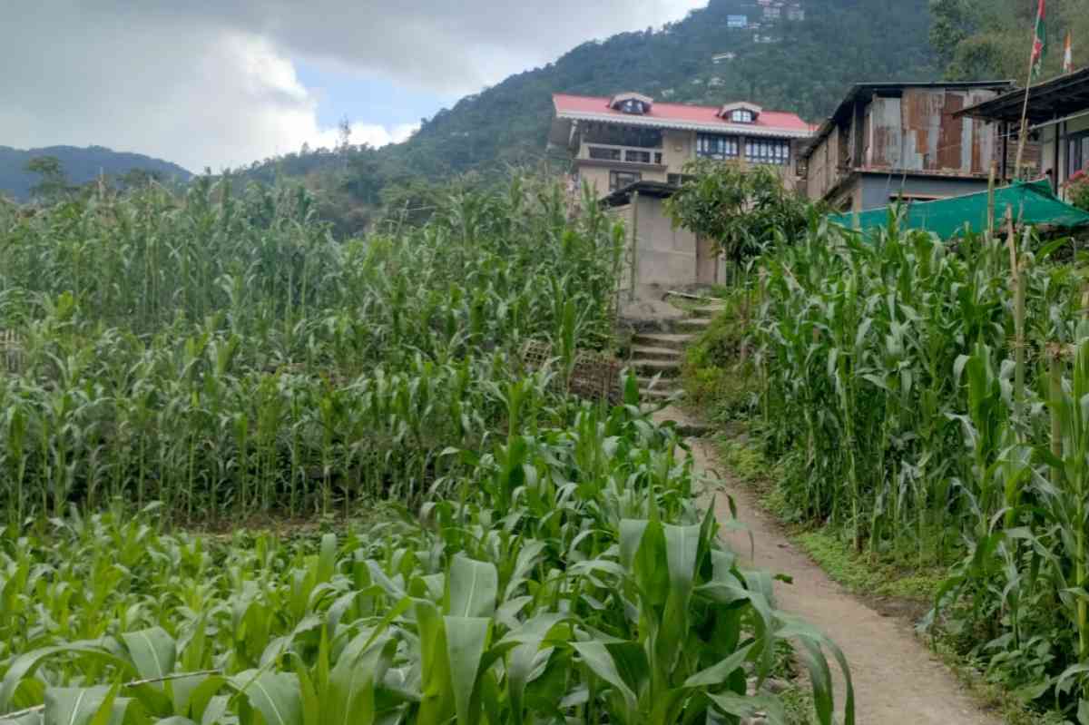 Jambala Retreat