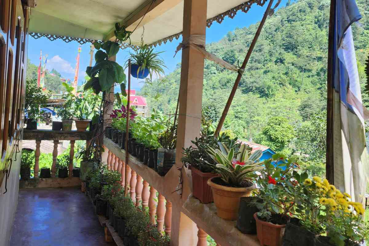 Drukpa Homestay