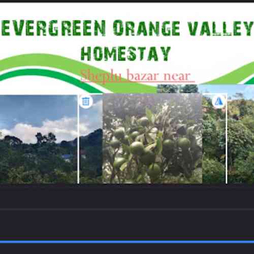 Evergreen Orange Valley Homestay